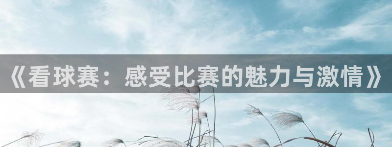 沙巴·体育