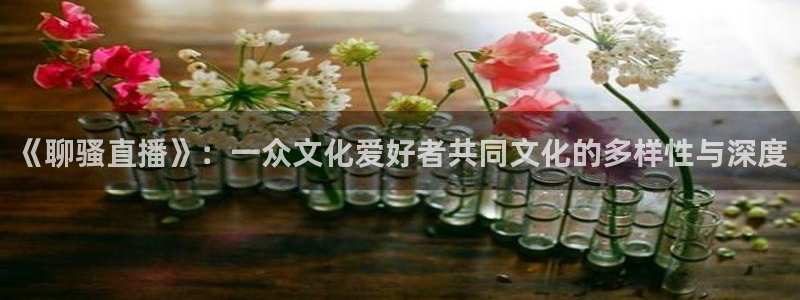 857直播体育在线观看：《聊骚直播》：一众文化爱好者共同文化的多样性与深度