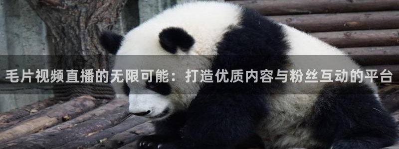 857看球直播nba直播：毛片视频直播的无限可能：打造优质内容与粉丝互动的平台